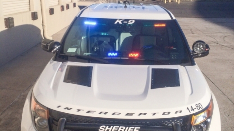 Illustration for article titled Cops Are Picking Ford Interceptor SUVs Over Sedans Almost 2 To 1